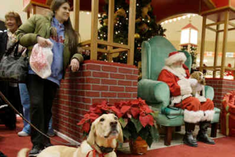 Rocky is dreaming, perhaps, of dog biscuits as he waits to visit Santa at the Voorhees Town Center. With him is Jessica Scornaienchi; she and mother Jean took the golden Lab to one of many such Santa photo ops.