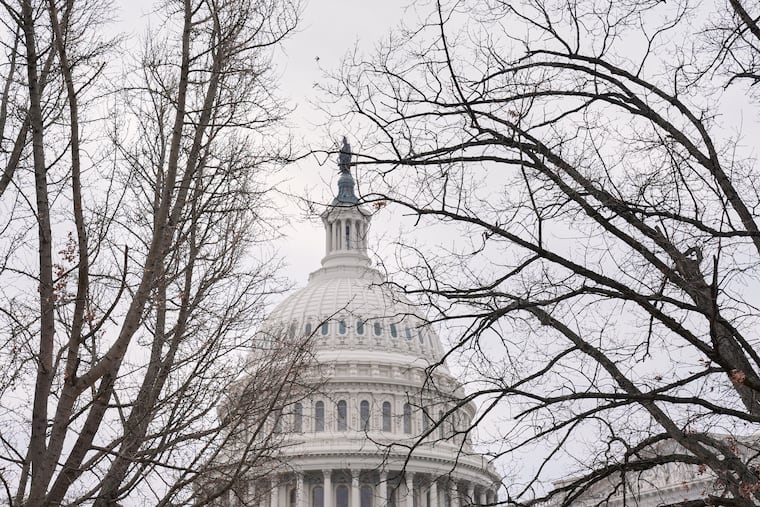 Congress is divided along party lines in its response to the killing of a woman by an ICE agent in Minneapolis.