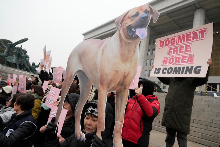 Animal rights activists attend a protest rally supporting the government-led dog meat banning bill at the National Assembly in Seoul, South Korea, on Tuesday.
