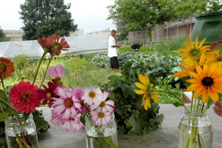 At the garden at University City High School, flowers that have been picked by the kids to be sold.(APRIL SAUL/Staff Photographer)