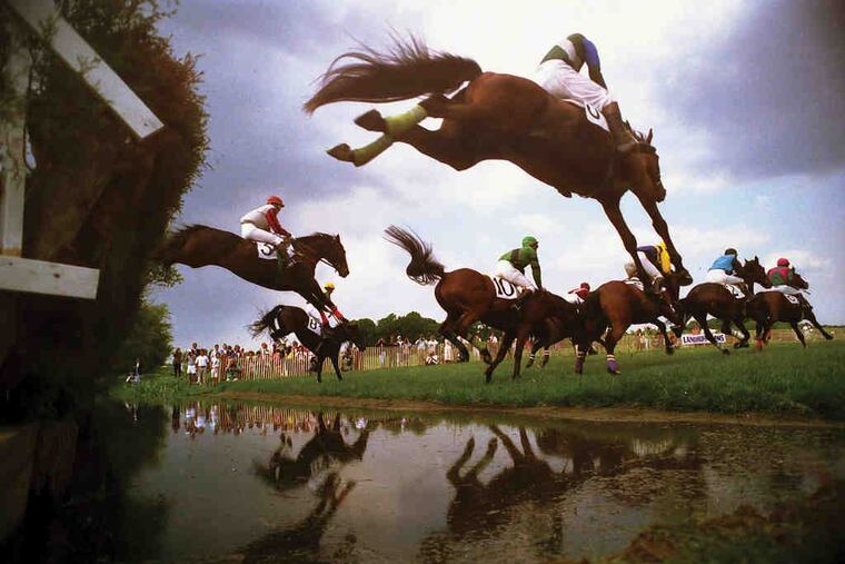 "Water Jump at Willowdale." At the steeplechase in Kennett Square, Fred Comegys positioned himself at ground level, at the end of a hedge, so horses seem to be soaring above him, and us.