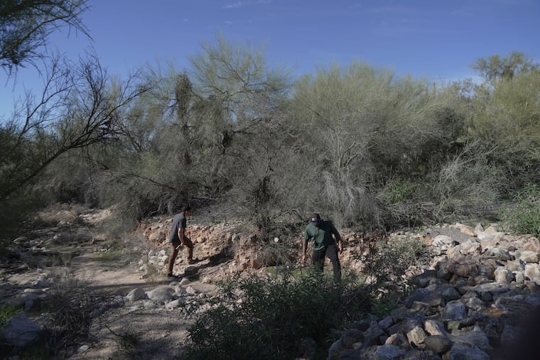 Law enforcement agents check vegetation areas around Nancy Guthrie’s home in Tucson, Ariz., Wednesday, Feb. 11, 2026. Some private citizens continue to search.