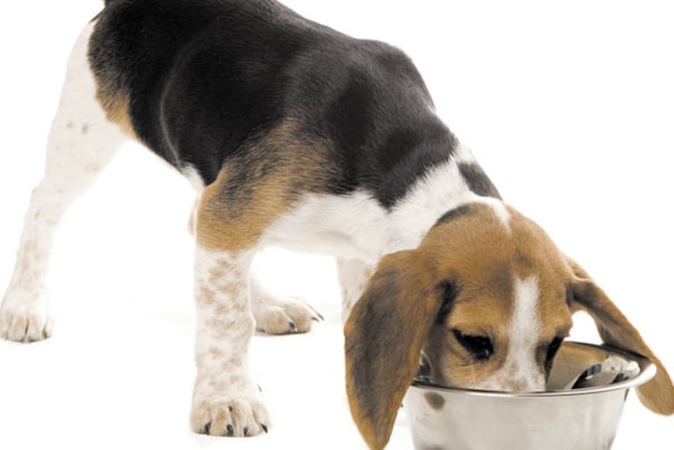 Pet food recalls have become increasingly common.
