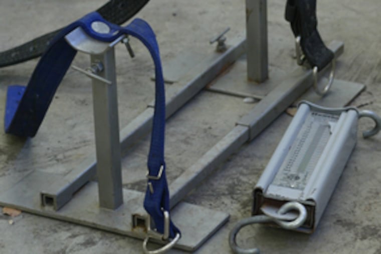 This restraint, known as a "rape stand," was among dogfighting items confiscated Saturday by the PSPCA from a Frankford building. Officials say female dogs are strapped to such stands for mating.