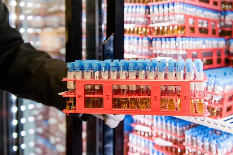 A thousand or more cups of urine arrive most nights by express mail to Comprehensive Pain Specialists clinics. The samples are tested for narcotics and other drugs, both legal and illegal.