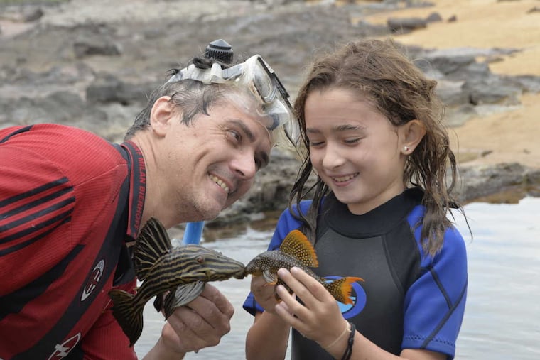 Mark (left) holding “Panaque armbrusteri,” Sofia (right) holding “Scobinancistrus pariolispos,” both popular species of plecos in the aquarium hobby.