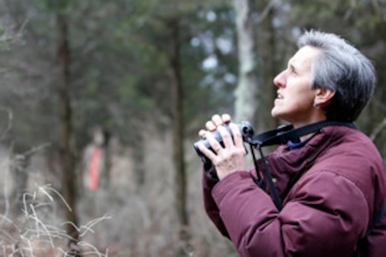 Diane Allison counts birds within a three-mile radius of her home in Tinicum, Bucks County. On Sunday, she spotted a red-shouldered hawk.