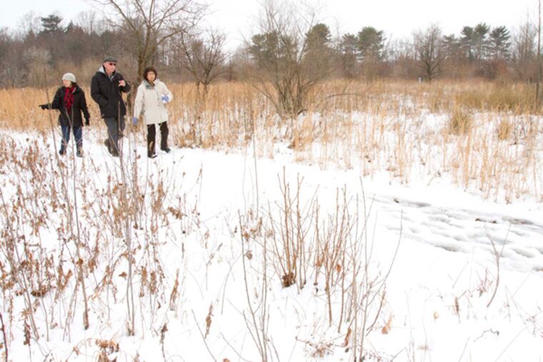 Susan Buffalino, sanctuary director, right, leads Barbara and Wolf Skacel, left and center, of Moorestown, on a nature walk at the Rancocas Nature Center, Westampton, Jan. 5, 2014. (DAVID M WARREN/Staff Photographer)