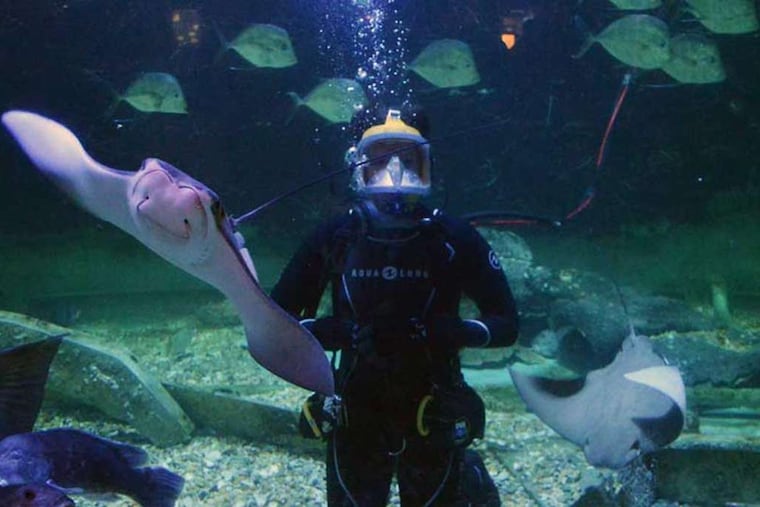 The Keto diet may help delay certain seizures caused by exposure to high levels of oxygen a study found.