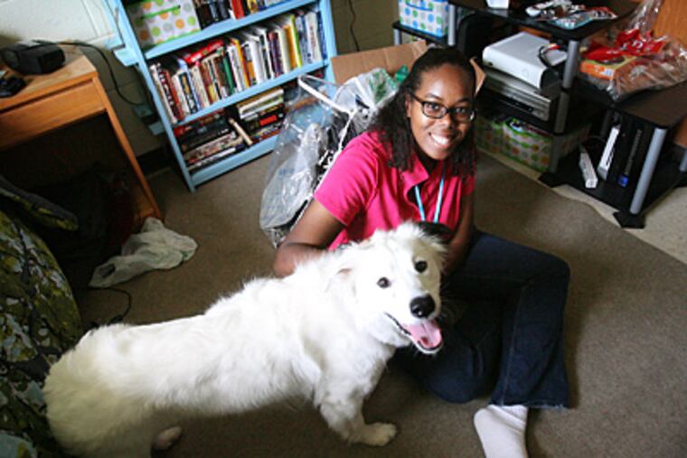 Jasmine Parham sits with her Border Collie "Leo" in her dorm room at Stetson University in Deland, Fla. For the first time Stetson is allowing some students to have pets in their dorm rooms. (Jacob Langston / Orlando Sentinel / MCT)