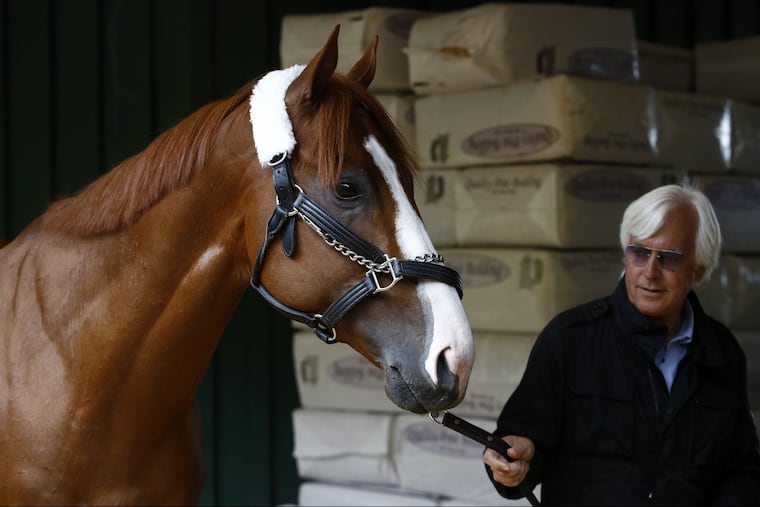 Justify walking in a barn with trainer Bob Baffert, after arriving at Pimlico Race Course in Baltimore days before the Preakness.
