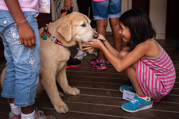 A camper named Ohnmar plays with certified therapy dog Brealey at Camp Dreamcatcher in Oxford, Pennsylvania August 18, 2014. ( MATTHEW HALL / Staff Photographer )