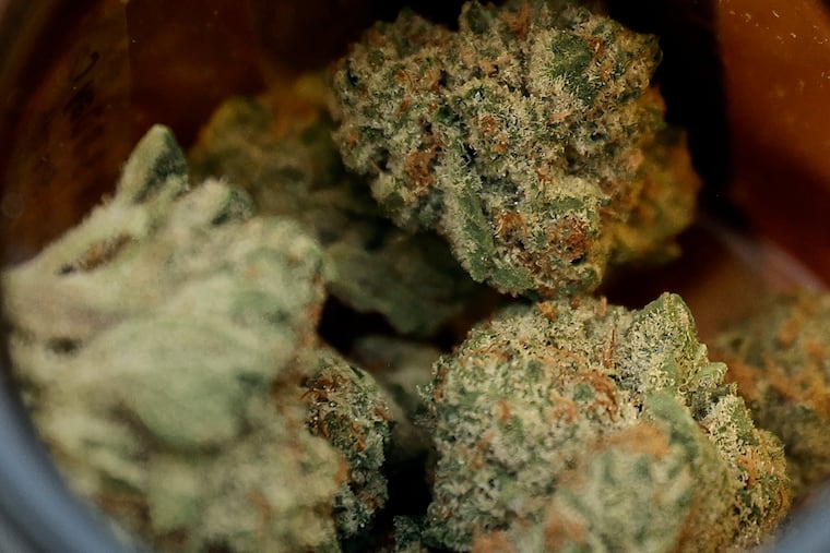 While adults can now buy legal marijuana in New Jersey, they can't grow the plant.