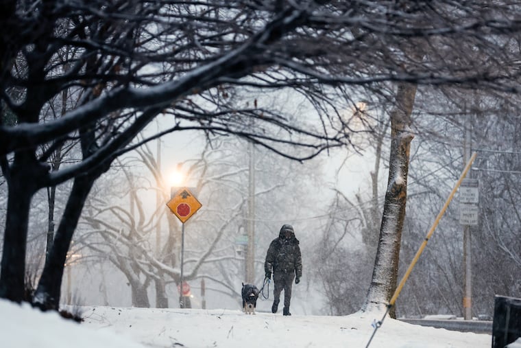 Snow falls near Poplar Drive and Girard Avenue on Sunday, Jan. 18, 2026 in Philadelphia.