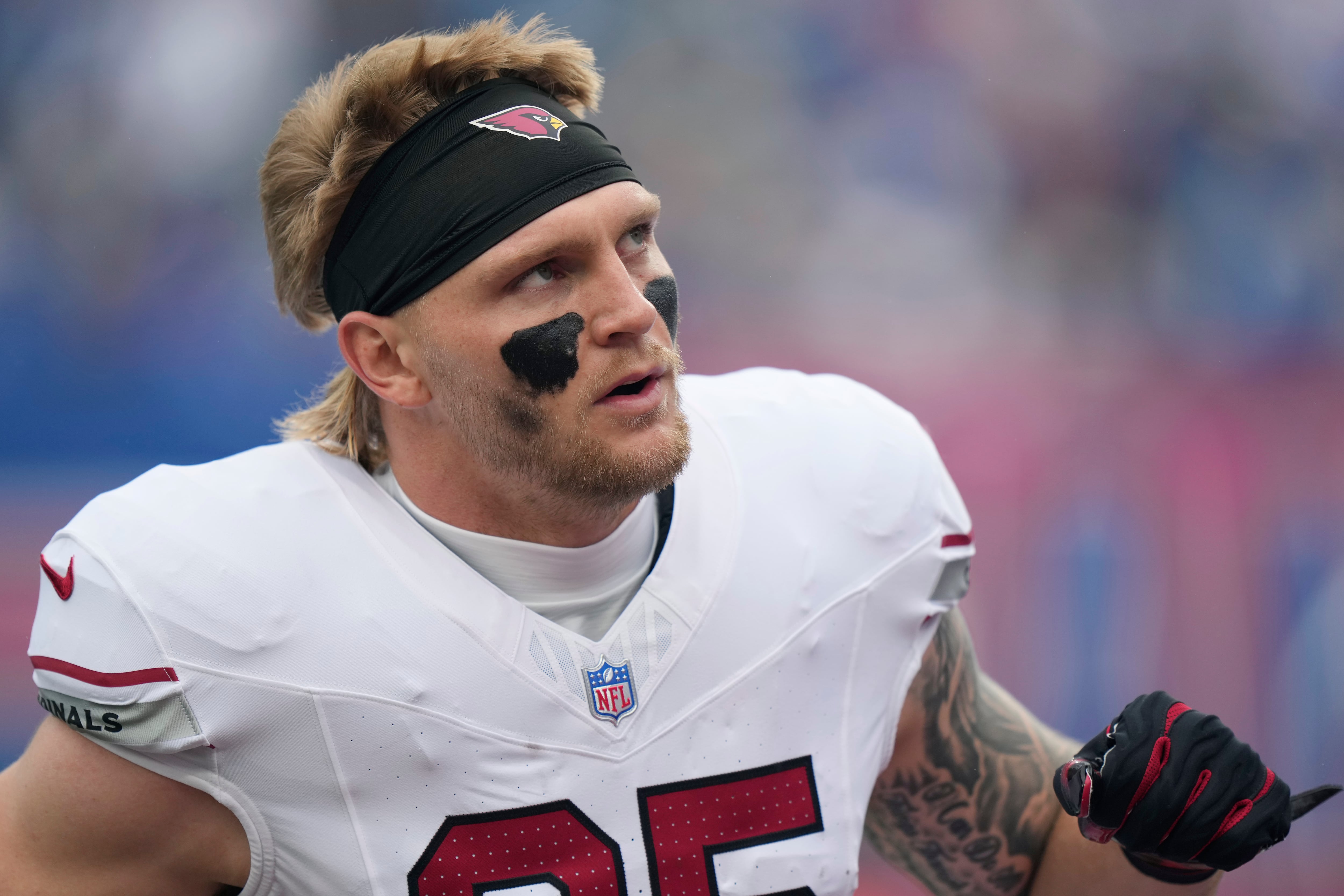 NFL Opens Inquiry Into Official's Profanity Directed at Cardinals Tight End McBride