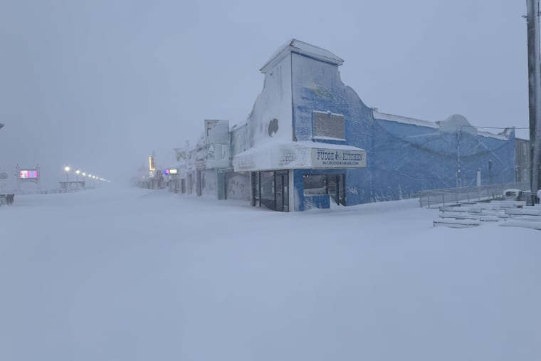 Emerging from the snow | Down the Shore Emerging from the snow | Down the Shore