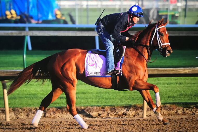 Monomoy Girl training before the Kentucky Oaks. She's the heavy favorite for the Pennsylvania Derby.