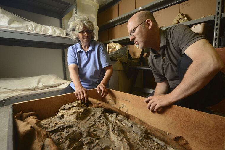 Janet Monge and William Hafford investigate the 6,500-year-old skeleton. (Kyle Cassidy)