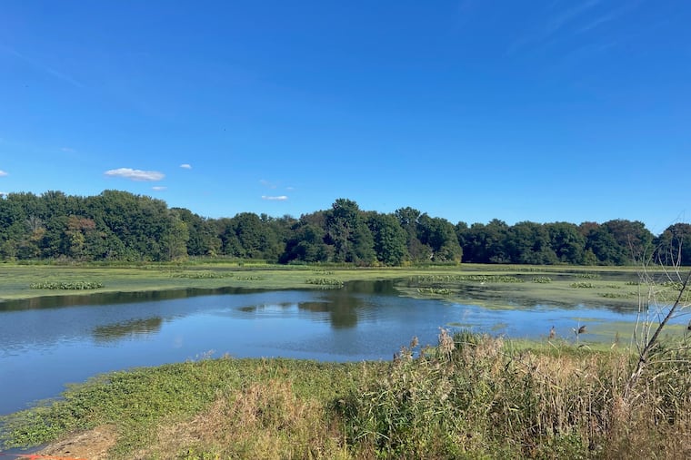 The John Heinz National Wildlife Refuge in Philadelphia, on Oct. 1, 2021.