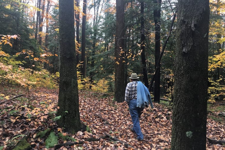 Jim Finley, a retired forestry professor and founder of Penn State's Center for Private Forests, tours his 247-acre property in Elk County each spring to search for invasive plant species.