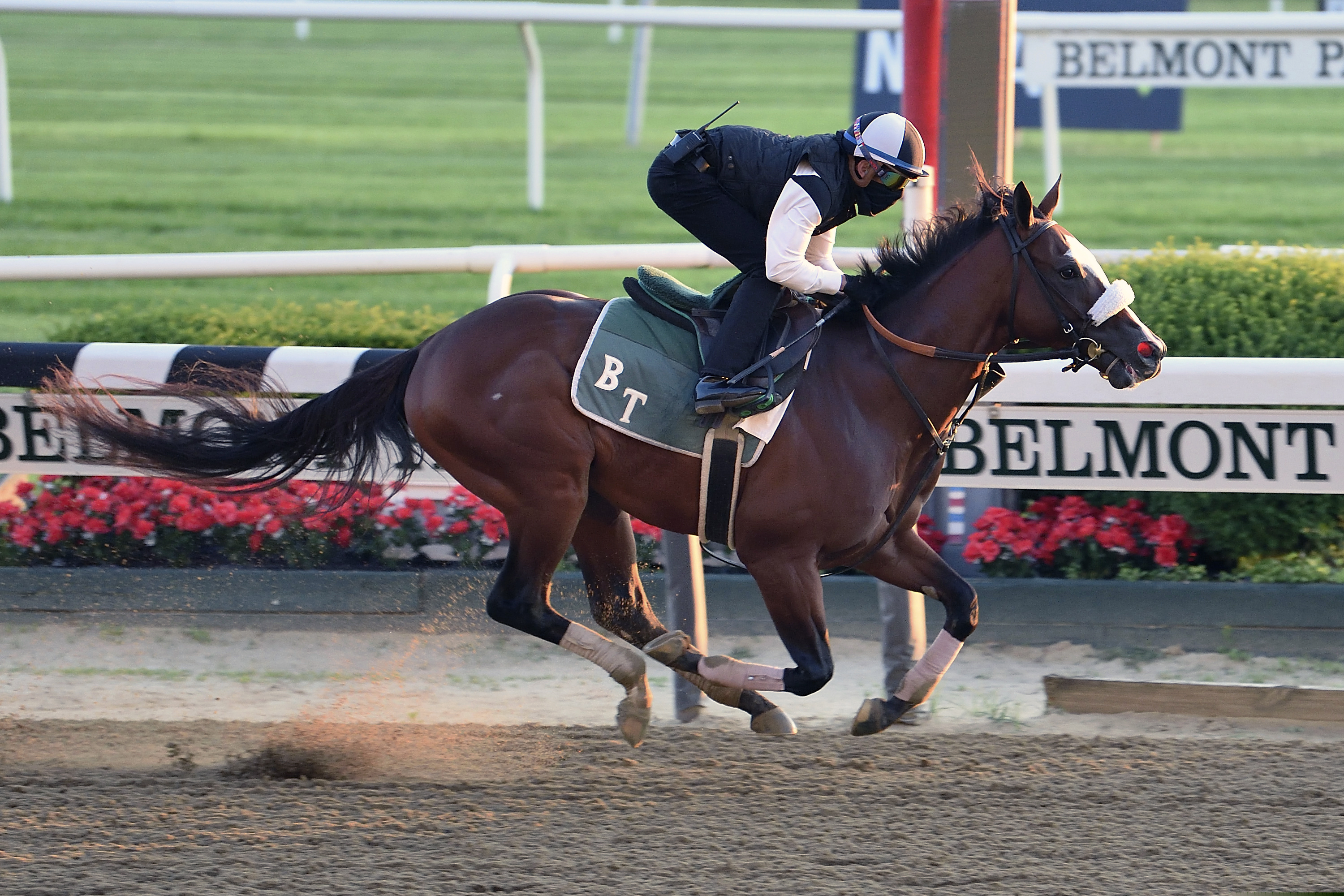 Tiz the Law, shown training last weekend at Belmont Park, opened as a 6-5 favorite for Saturday's Belmont Stakes. He last raced in March, winning the Florida Derby by more than four lengths.