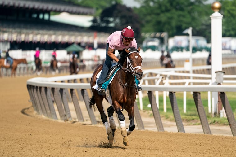 Belmont Stakes entrant Rombauer takes a training run on the main track ahead of the 153rd running of the horse race.