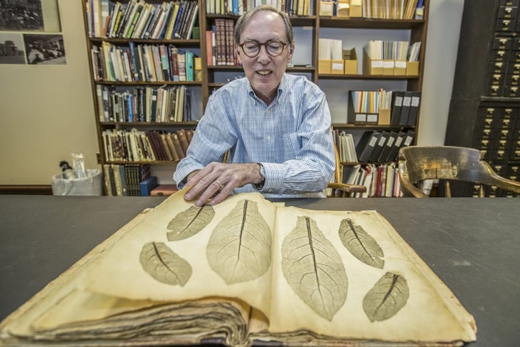 Librarian Jim Green pages through Volume 2 of Joseph Breintnall’s “Nature Prints of Leaves” at the Library Company.