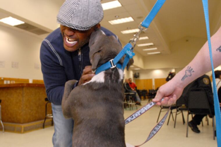 Boxer Bernard Hopkins is greeted by a pit bull named Karmann at the Fraternal Order of Police Lodge in Camden. (April Saul / Staff Photographer)