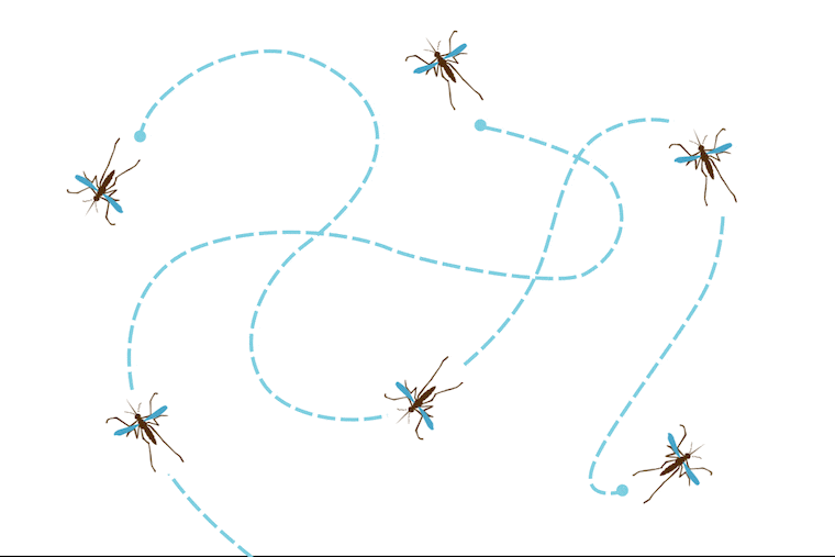 Mosquitoes are the worst.