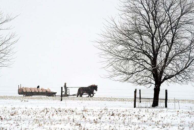 In Lancaster County, a man hauls farm cargo with a horse-drawn carriage. DAN MARSCHKA / Associated Press