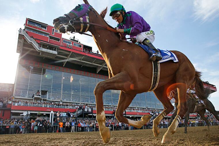 California Chrome, ridden by jockey Victor Espinoza, wins the 139th Preakness Stakes horse race at Pimlico Race Course, Saturday, May 17, 2014, in Baltimore. (Matt Slocum/AP)