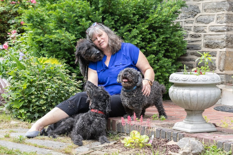 Mount Airy resident Susan Gobreski and her three dogs: Penny, Franklin and Max. On different occasions, Max and Franklin mistakenly ingested cannabis.