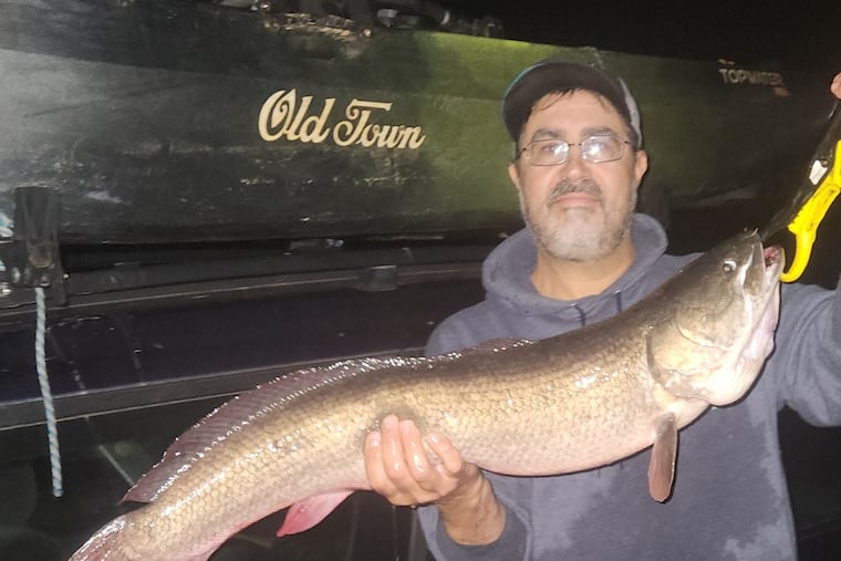 Frank Hubert Jr., 55, with the potential record-breaking bowfin he caught in Mantua Creek in New Jersey on Tuesday.