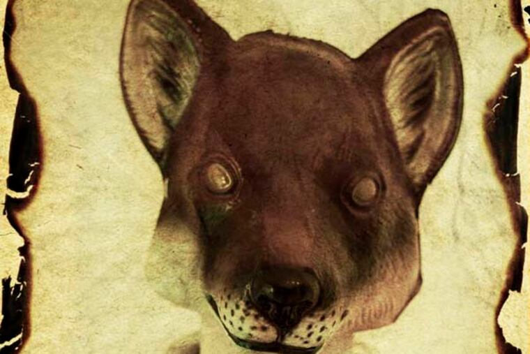 Fox
By: Alexis Maguire