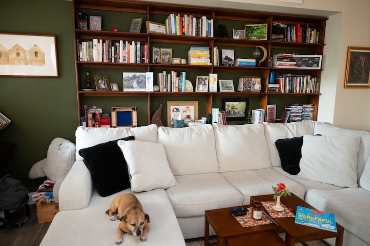 Pepper, the Cawleys' dog, rests on the couch in front of bookshelves Emmett built.