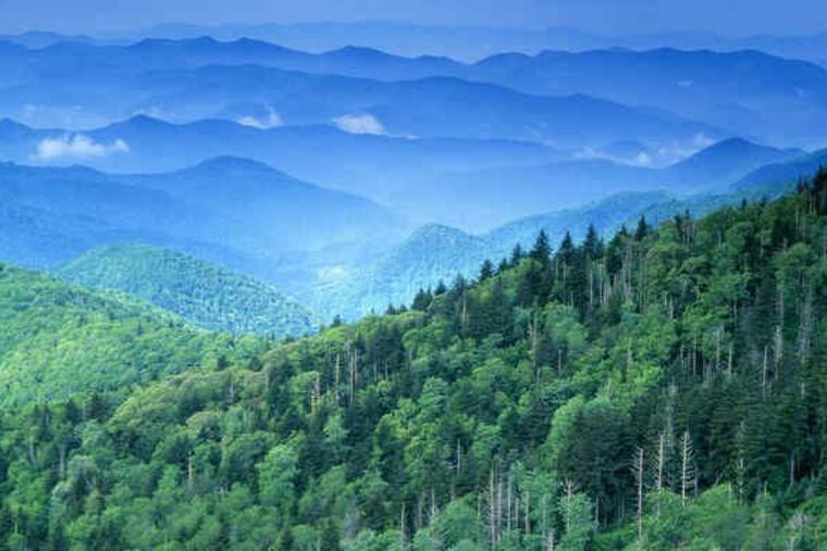 The Great Smoky Mountains are the world's oldest.