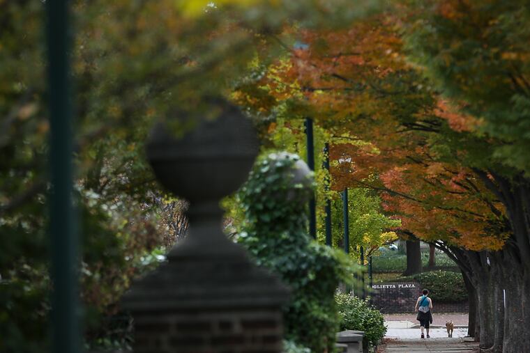 A pedestrian walks her dog toward Foglietta Plaza as last October's peak foliage period approached. It's coming.
