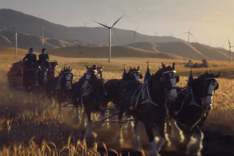 A screenshot from the Budweiser ad.