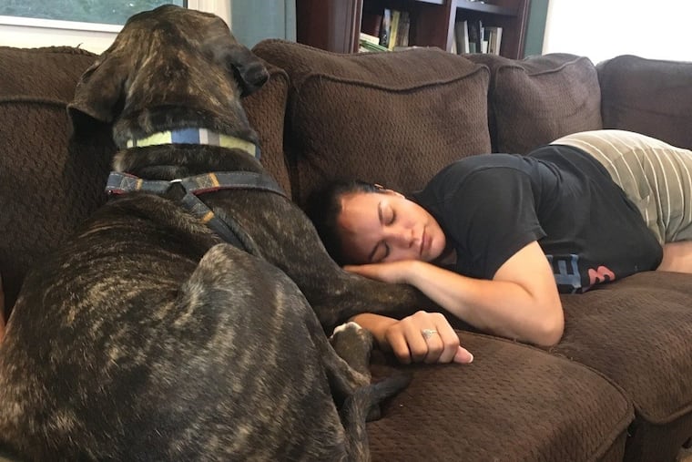 Sherlin Larsen, 31, resting at her home in Crofton, Md., with Arya, the 12-month-old mastiff who is being trained to alert and help her with the panic attacks that worsened after a horrific car accident 10 years ago in rural Pennsylvania.