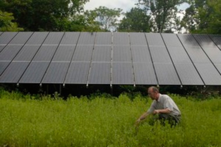 Executive director Dennis Burton weeds a flower patch next to solar panels powering the Schuylkill Center for Environmental Education.