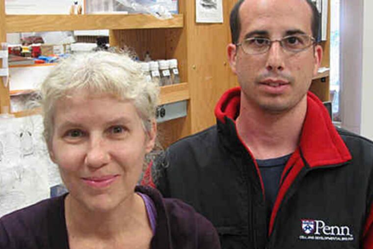University of Pennsylvania researchers Nancy Bonini and Aaron Gitler discovered a potential genetic factor in ALS.