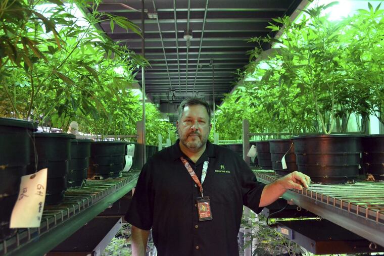 Andy Williams, founder and CEO of Medicine Man Denver poses for a photo in Denver on Jan. 4. Colorado’s top federal prosecutor said his office won’t alter its approach to enforcing marijuana crimes after U.S. Attorney General Jeff Sessions withdrew a policy that allowed pot markets to emerge in states that legalized the drug.