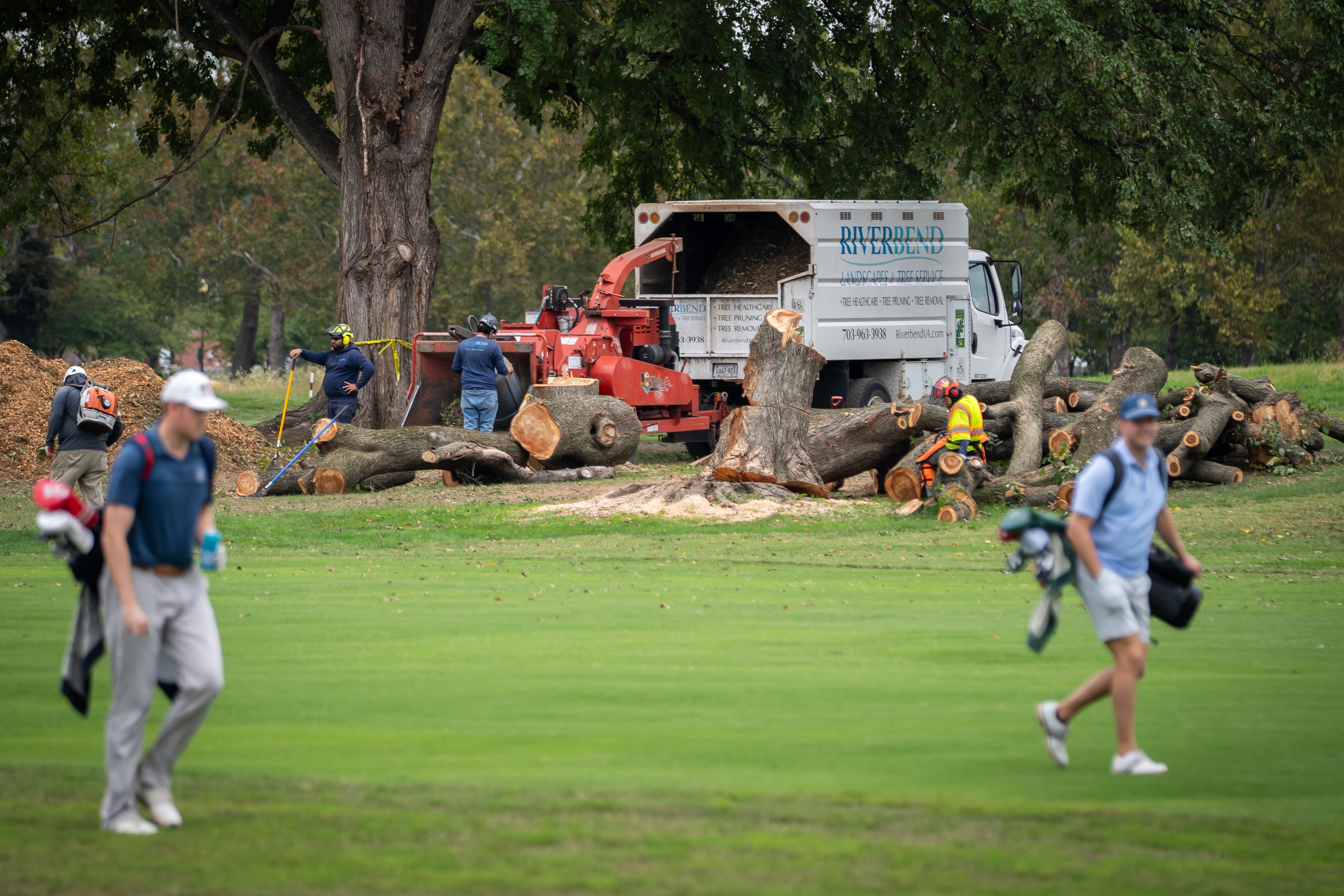 Federal Judge Halts Tree Removal at East Potomac Golf Links Amid Preservationist Concerns