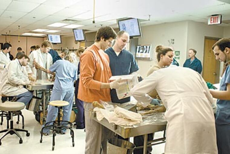 Widener University students studying to be physical therapists work on cadavers at the Philadelphia College of Osteopathic Medicine. A service Wednesday will allow students to acknowledge the body donors. (ED HILLE / Staff Photographer)