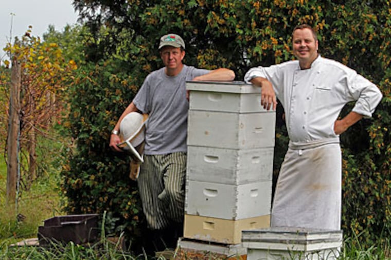 Chefs Phil Pyle Jr. (left) and Brian Shaw next to beehive in their garden in Elkton, Md. (Akira Suwa / Staff Photographer )