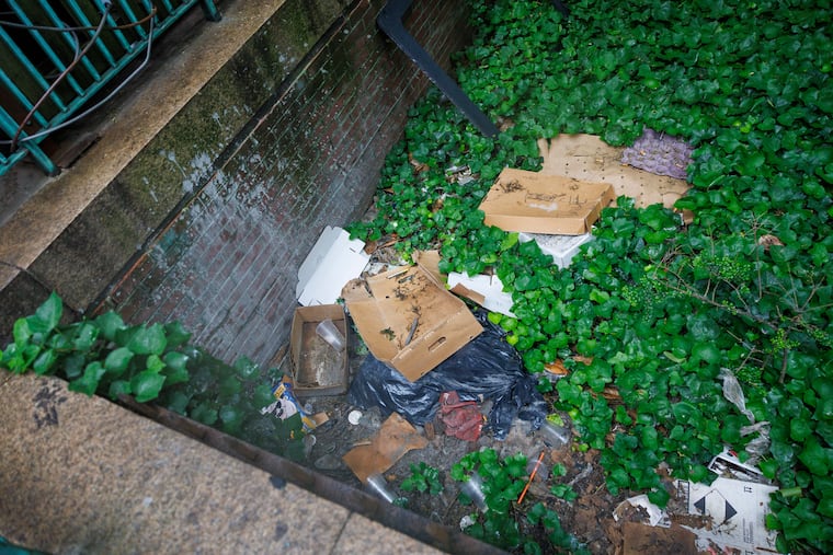 Trash in the garden area of the Philadelphia History Museum.