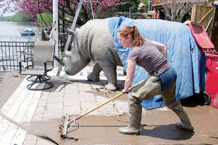 DeeDee Mann-Witlin clears her back patio of mud near the family's "pet" rhinoceros at her West Indian Lane home in West Norriton. The Schuylkill rose as high as nine feet in some of the neighborhood.