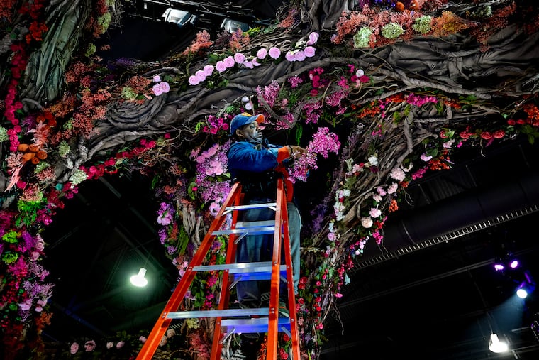James Walker with Valley Forge Flowers places baby’s breath on a large overhead sweeping, twisting root structure as part of the entrance garden at the Convention Center Tuesday, Feb. 24, 2026.