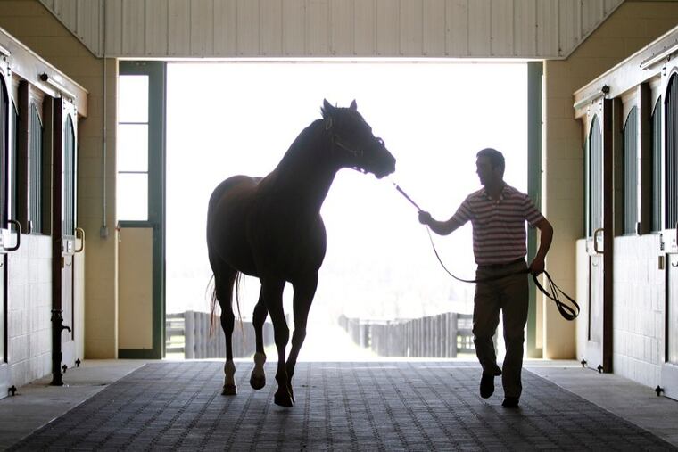 Brian Crowley, stallion manager at Northview Stallion Station in Peach Bottom, Pa., with Smarty Jones. It was in 2004 that Smarty Jones nearly won the Triple Crown.