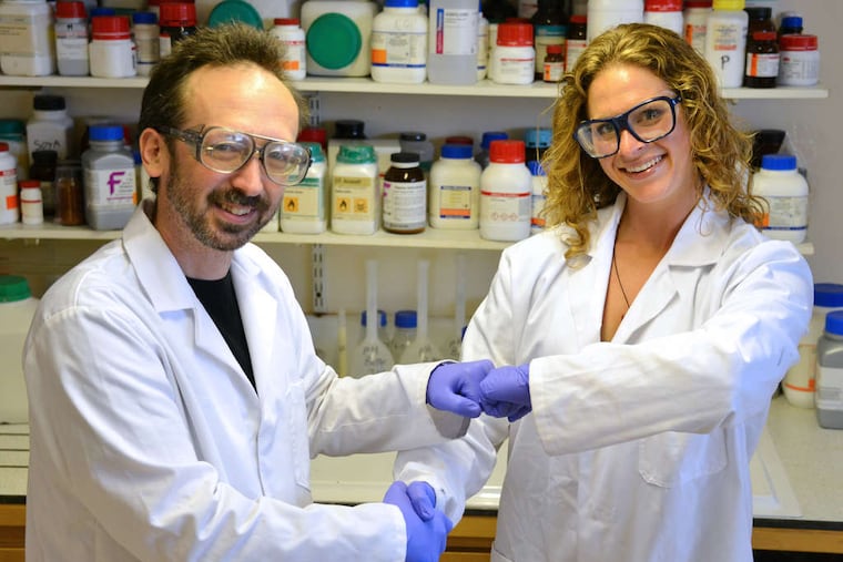 David E. Whitworth and Sara Mela in the lab at Aberystwyth University. Their research found that a handshake transferred 10 times as many bacteria as a fist bump. AP